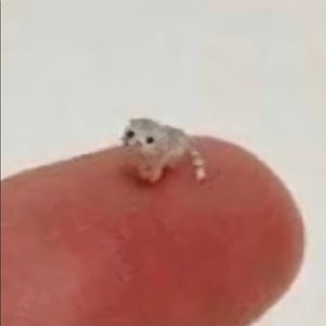 Meet your Posher, Layna